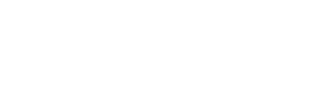 Logotip de Nautivela en blanc sobre fons transparent